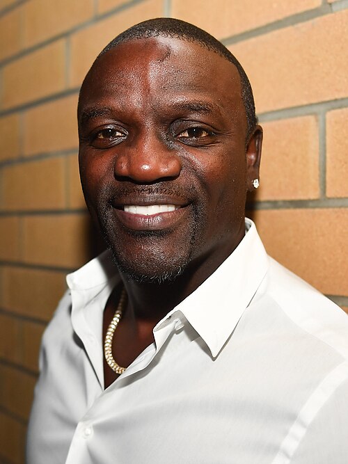 Portrait of Akon